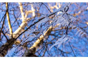 Теплый день с небольшими осадками ожидается в Беларуси 2 марта