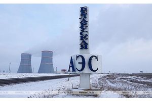 Эксперт: экологическая ситуация в Беларуси после запуска БелАЭС не изменилась