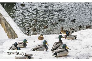 Кто на юг, кто в санаторий