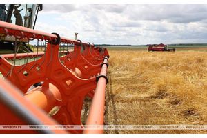 В Беларуси - первые тысячники! И это аграрии Минщины