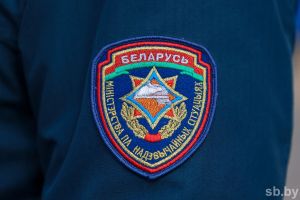 Порывы до 24 метров в секунду — в МЧС предупредили о факторах опасности в связи с сильным ветром