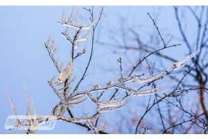 Морозы до -28°С ожидаются в Беларуси 17 января