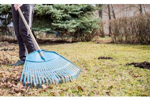 В центре гигиены и эпидемиологии напомнили о необходимости убрать закрепленные территории