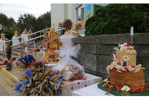 Конкурс сельскагаспадарчых падворкаў, выстаўка майстроў