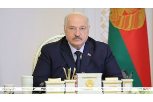 Лукашенко намерен проанализировать итоги возрождения территорий, пострадавших от аварии на ЧАЭС