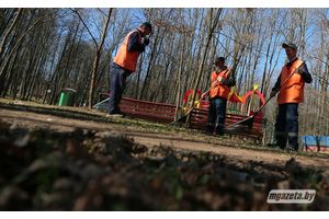 На сессии райсовета депутатов рассмотрели вопрос благоустройства