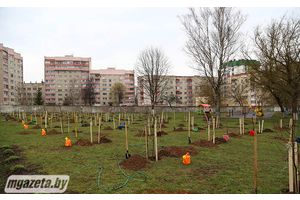 Зацветай, наш сад, на радость детям!