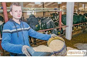 ААТ «Палачаны» падрыхтавалася да зімова-стойлавага перыяду