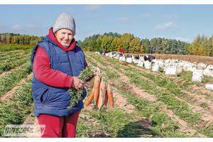 Морква ўрадзіла на славу