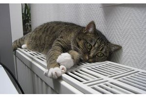 Пришло тепло в объекты социально-культурного назначения
