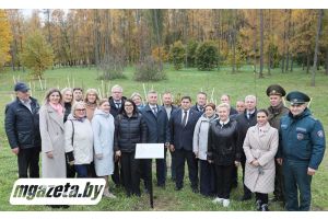 Аллею, посвященную 85-летию Молодечненского района, высадили в парке Победы