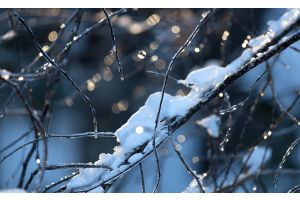 Мокрый снег и до плюс шести. Какая погода будет в Беларуси 15 декабря