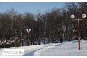 Чего ждать от погоды в Беларуси 26 февраля, сообщили синоптики