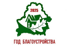 Год благоустройства в цифрах