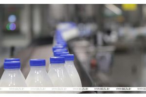 Минсельхозпрод: Беларусь прирастает в производстве молока