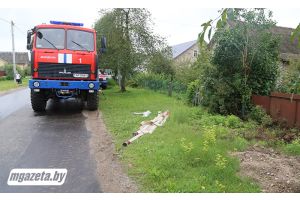 Урожай и надежды уходят под воду