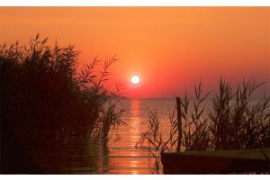 Культурный отдых приветствуется