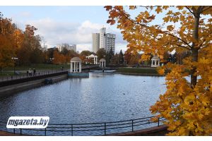 В Беларуси 15 ноября ожидаются дожди, возможен мокрый снег