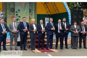 На «Дожинках» в Городке наградили лучших