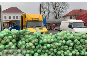 Время запасаться картошкой и квасить капусту: в Молодечно продолжаются сельскохозяйственные ярмарки