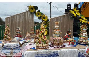 По столице районных «Дожинок» прошел парад-шествие представителей хозяйств