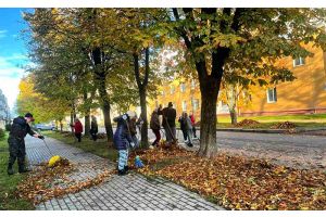 Чтобы город Молодечно стал краше!