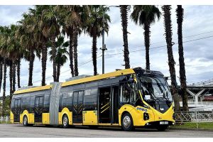 Отечественная «гармошка» на российском курорте