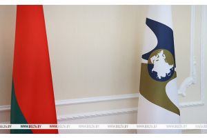 Беларусь является одним из лидеров по поставкам товаров в рамках госзакупок в ЕАЭС