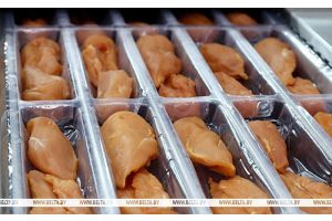 Узбекистан внедряет белорусский опыт производства мяса птицы