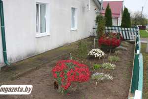 О хозяйке расскажут цветы