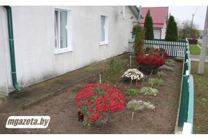 О хозяйке расскажут цветы