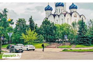 ПДД не для всех?