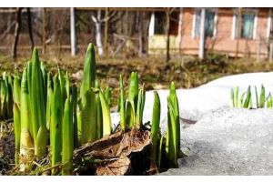 У красоты есть авторы