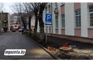 Деревья находились близко к зданию