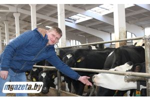 Зачем минчанин Александр Шуляк каждый день приезжает на ферму в Молодечненском районе?