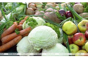 МАРТ установил предельные розничные цены на плодоовощную продукцию по госзаказу