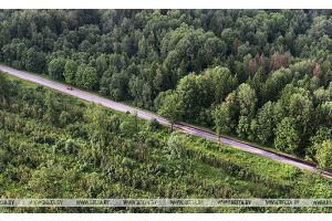 Выбрать удобную обувь и яркую одежду. Как подготовиться к походу в лес, напомнили в МВД