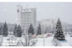 До -23°С и небольшой снег прогнозируют в Беларуси 11 января