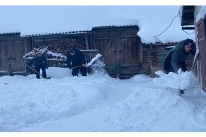 Марковская школа и Молодечненская сортиспытательная станция объединились для помощи пожилым