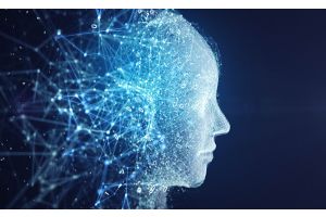 Правовая культура старшеклассников