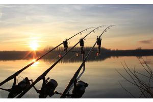 Действуют ограничения на лов рыбы