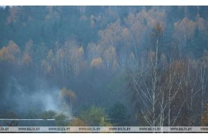 В МЧС напомнили о факторах опасности из-за тумана