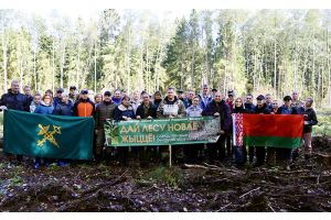 Более 7 тысяч сеянцев высадили минские таможенники во время акции «Дай лесу новае жыццё!»