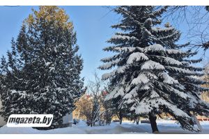 Будет ли сегодня днем плюсовая температура? Ответили синоптики