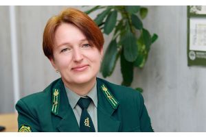 Лес вам не парк